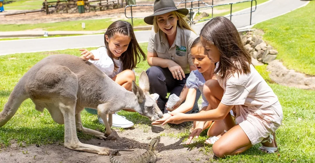 Currumbin Wildlife Sanctuary