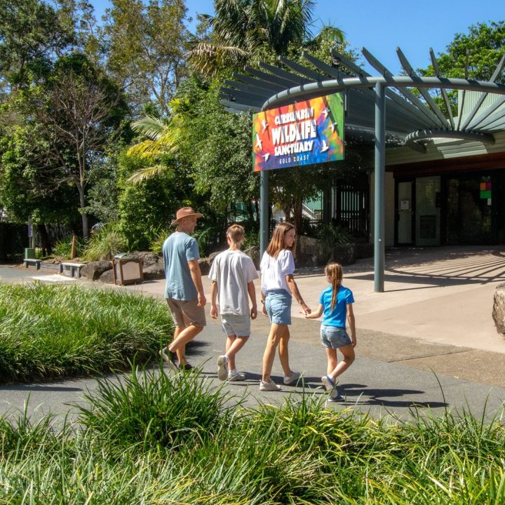 Curumbin Wildlife Sanctuary