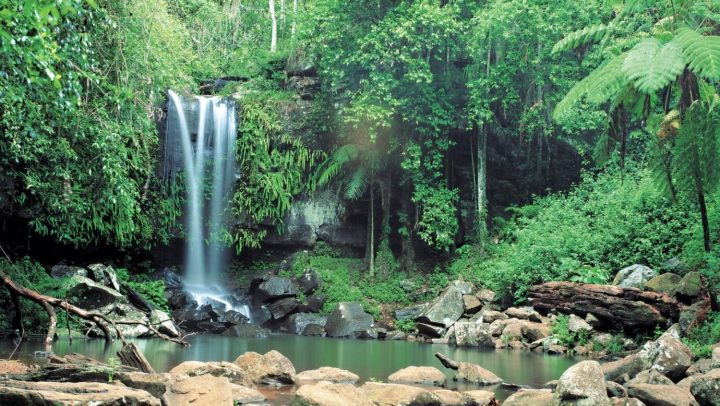 Mount Tamborine