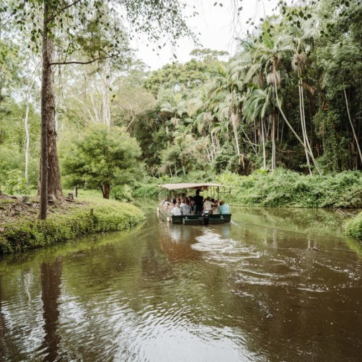 Tropical Fruit World